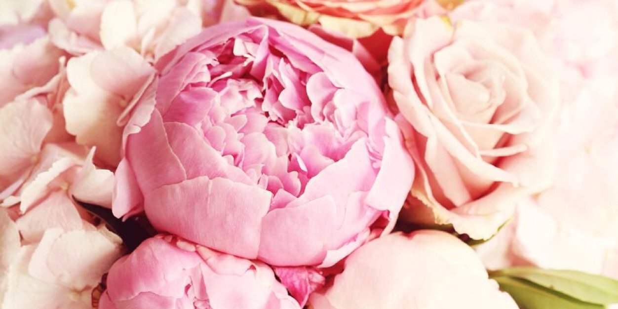 MCUnderbrink's profile banner image