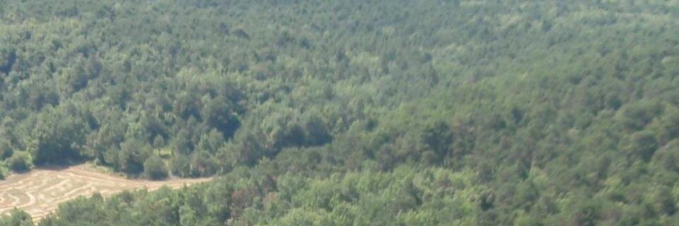 IngenierosMontes CyL banner