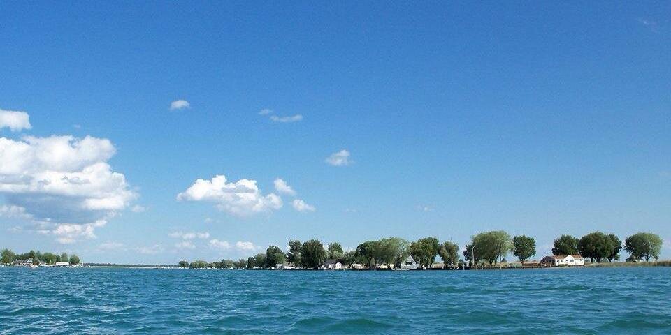 Brandi Henneman-Wielgopolski banner