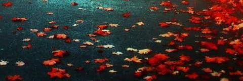 None banner
