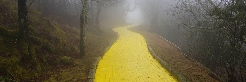 Michael Black banner