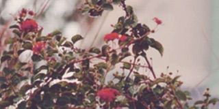 emye553's profile banner image