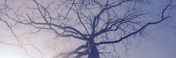 brandingram's profile banner image