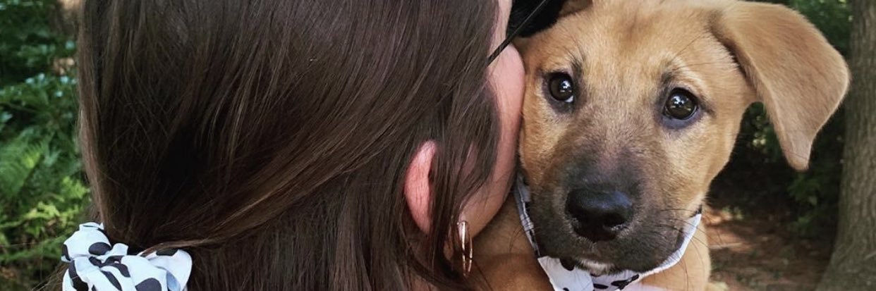 paigedenney1's profile banner image