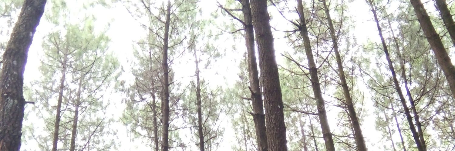 DevaChan_10's profile banner image