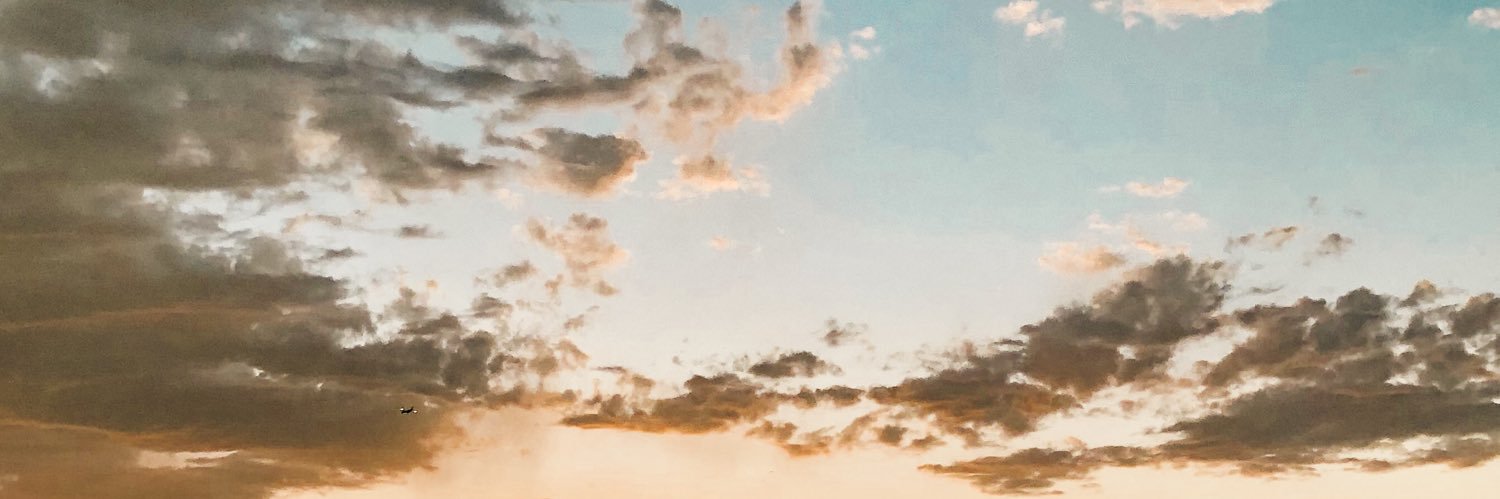 MeganGonsalez's profile banner image