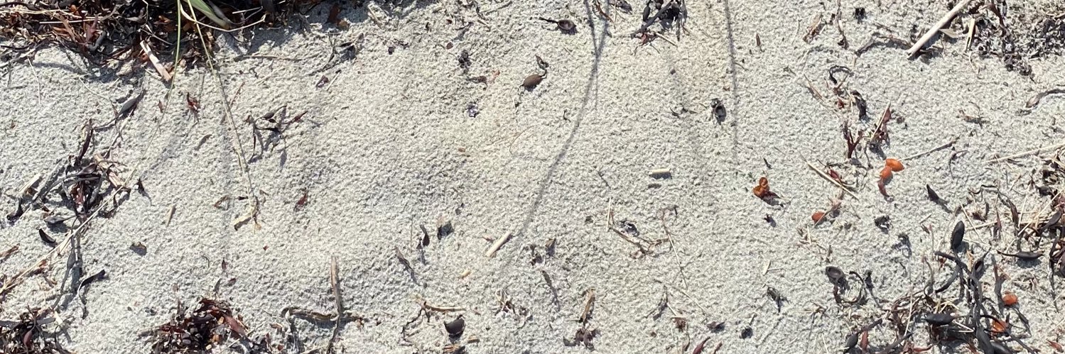 marcuskusi's profile banner image