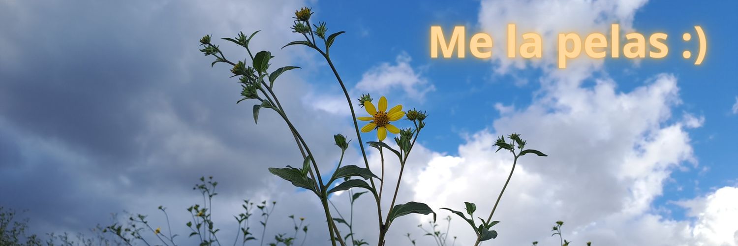 ingcatzin's profile banner image