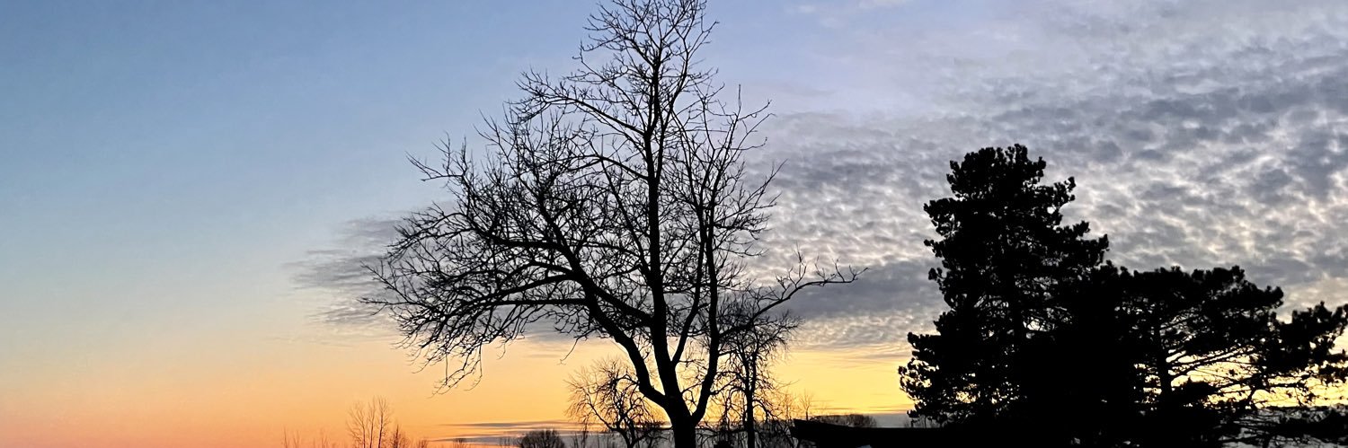 emkivioja's profile banner image