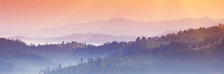 monantika's profile banner image