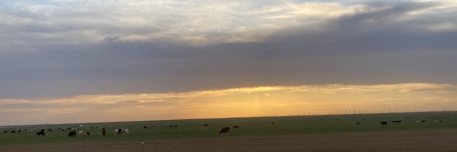 mathewalyssa's profile banner image