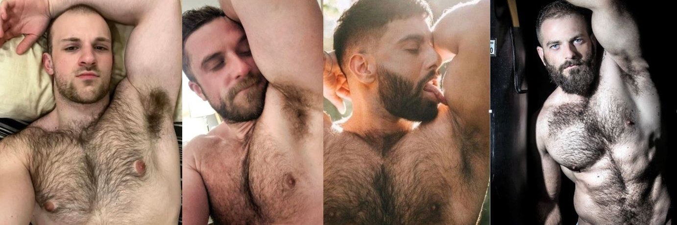 BB PigFun🐷➡️ IML Chicago banner