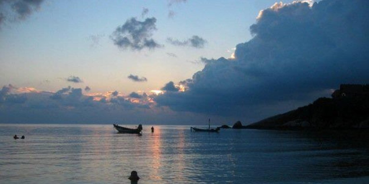 Hannele Merikoski banner