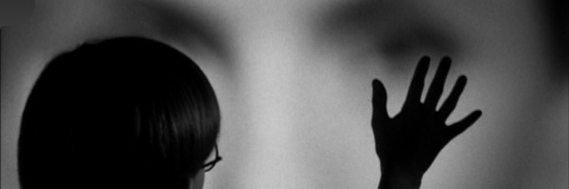 seankingy1's profile banner image