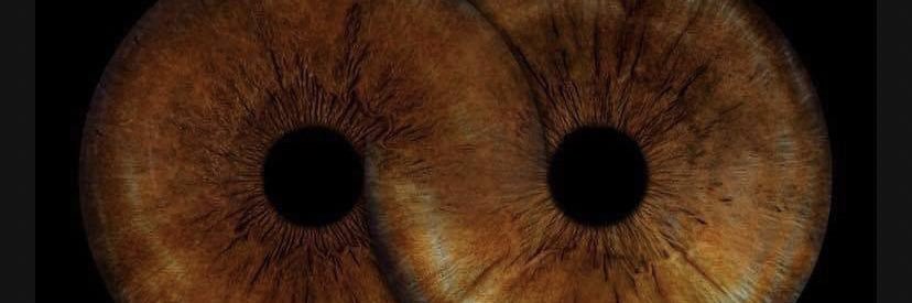 MeganJonboy13's profile banner image