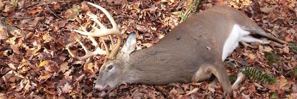 rmcameron89 Profile Banner