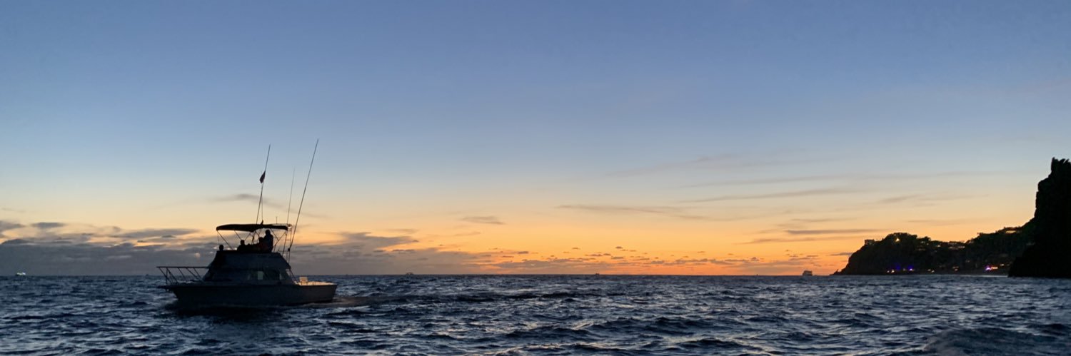 anne_larimer's profile banner image