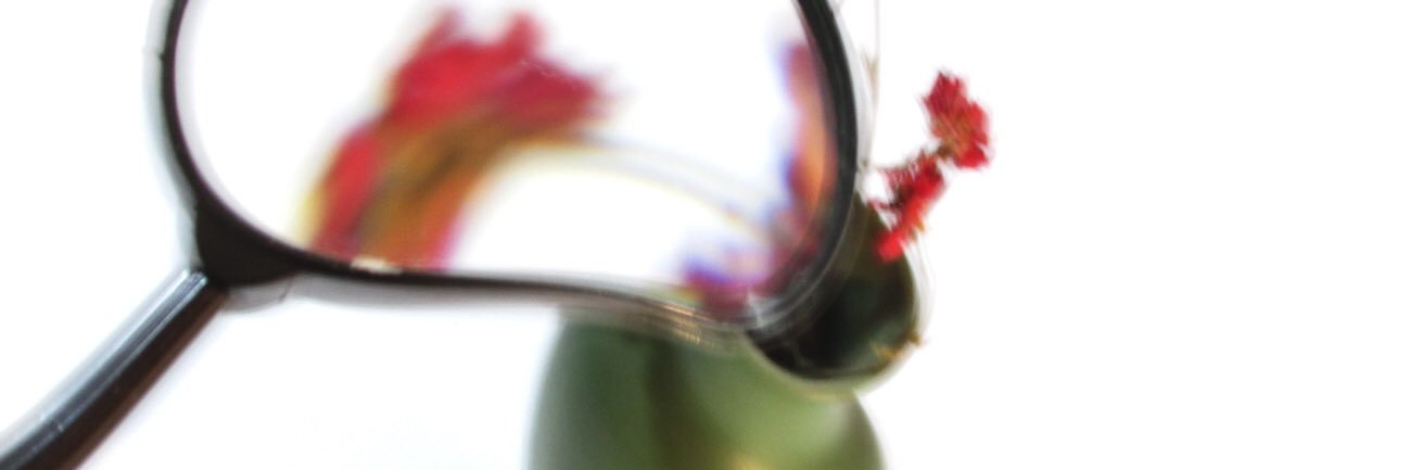 Piaviramonte's profile banner image