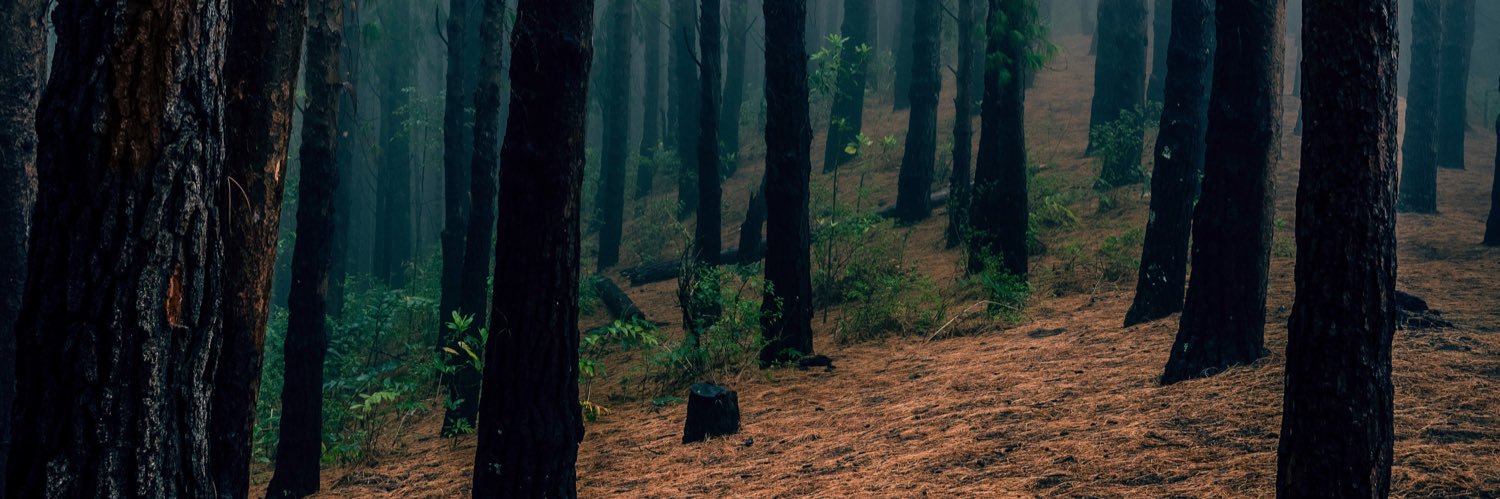 August B. banner