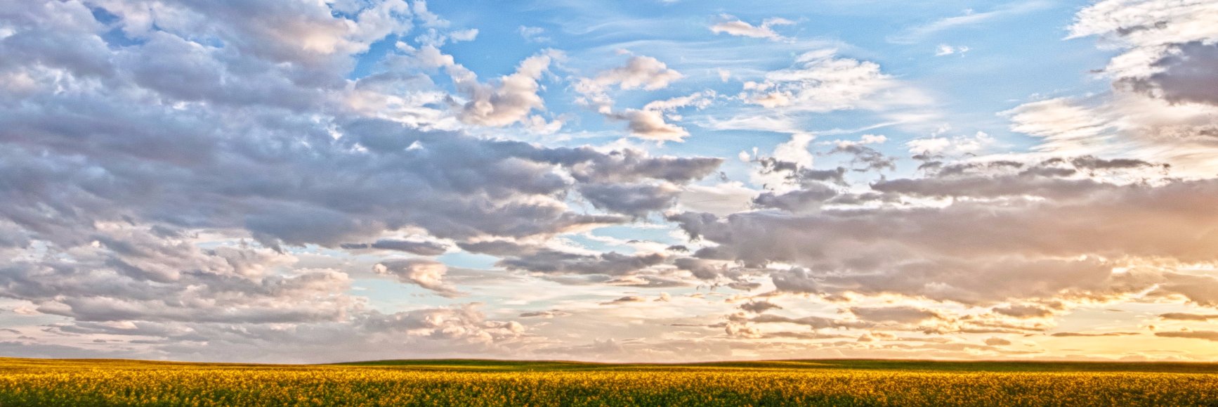 Prairie Proud banner