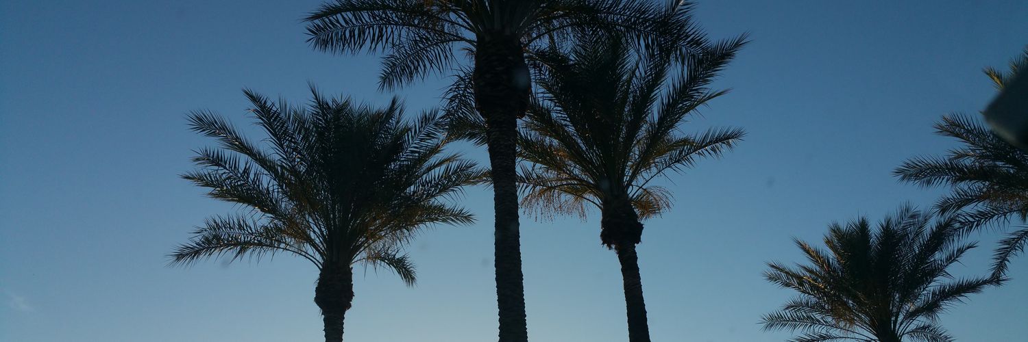 CRyanPT's profile banner image