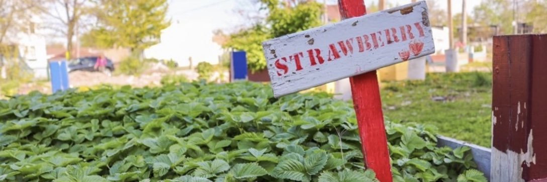 The Trotter Project banner