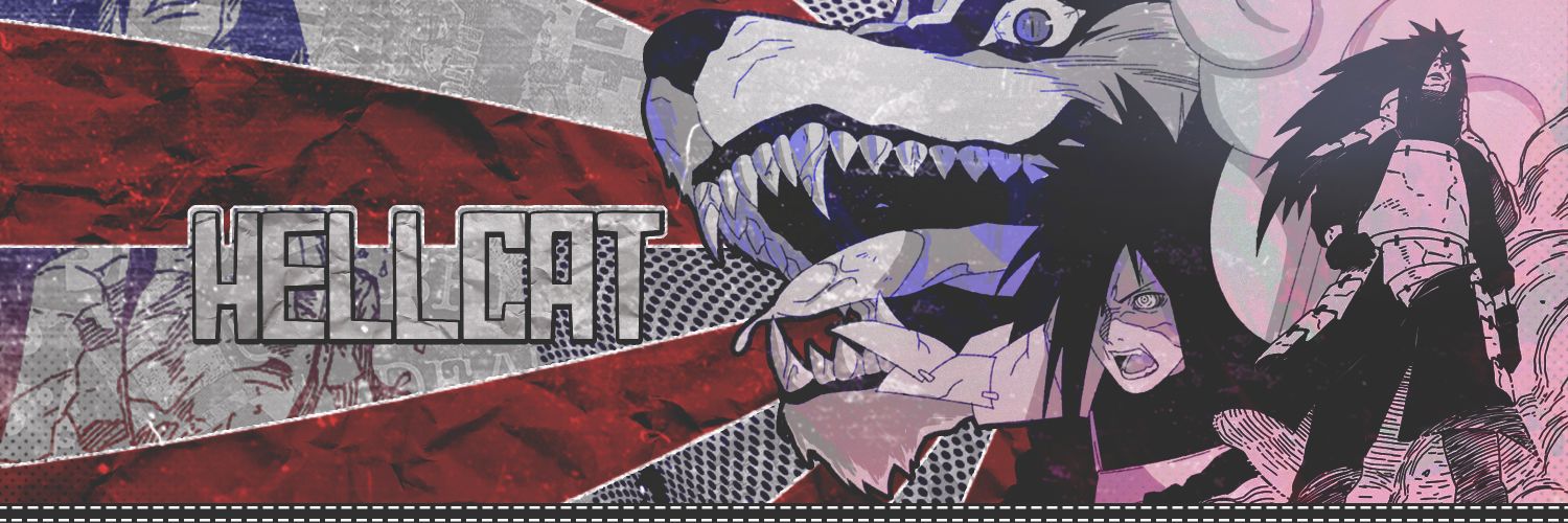 h6llcat's profile banner image