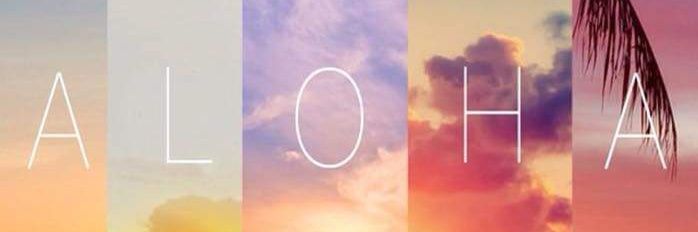LianaTHansen's profile banner image