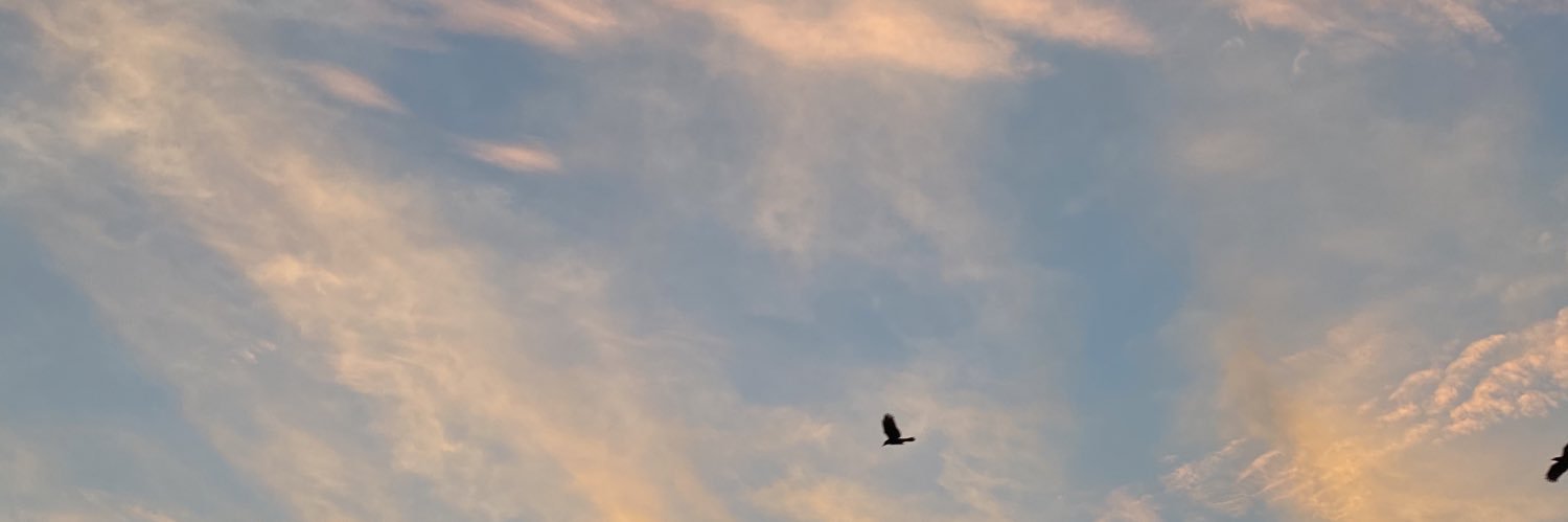 Cathie Eaton, LCPC, GCDF, NCC banner