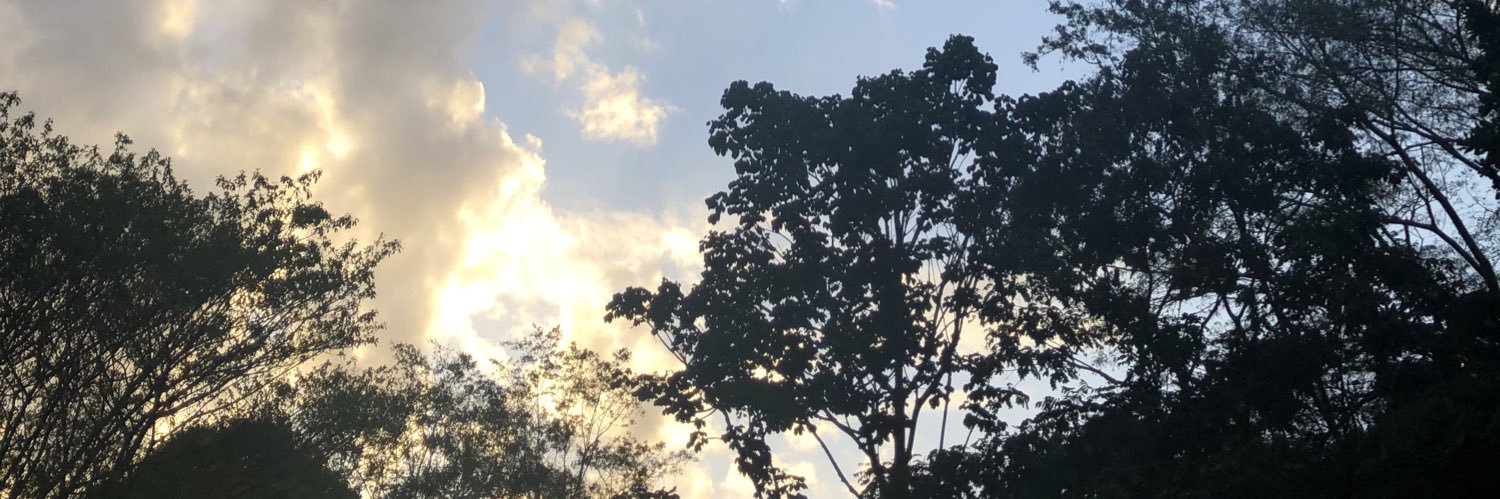 gonzaliah's profile banner image