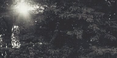 early_cheryl's profile banner image