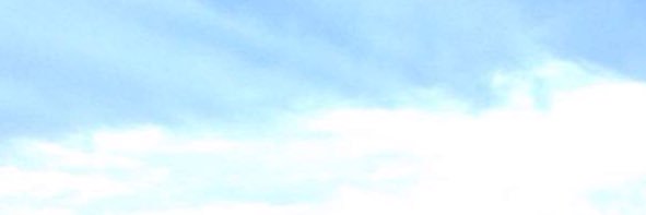 sharnibollen's profile banner image