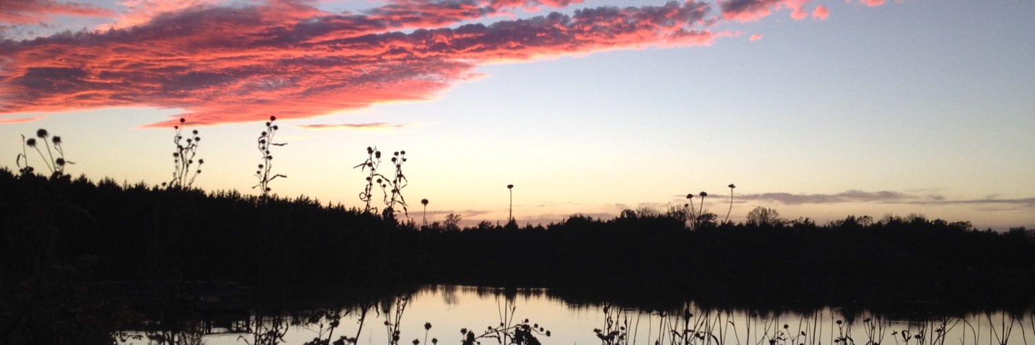 BrendaFritsch1's profile banner image
