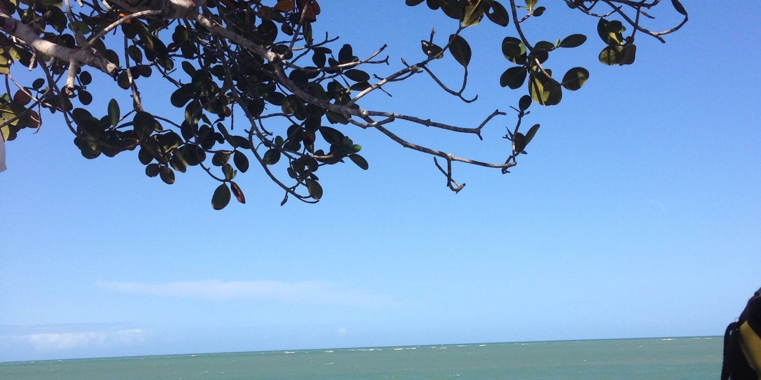 luucalves's profile banner image