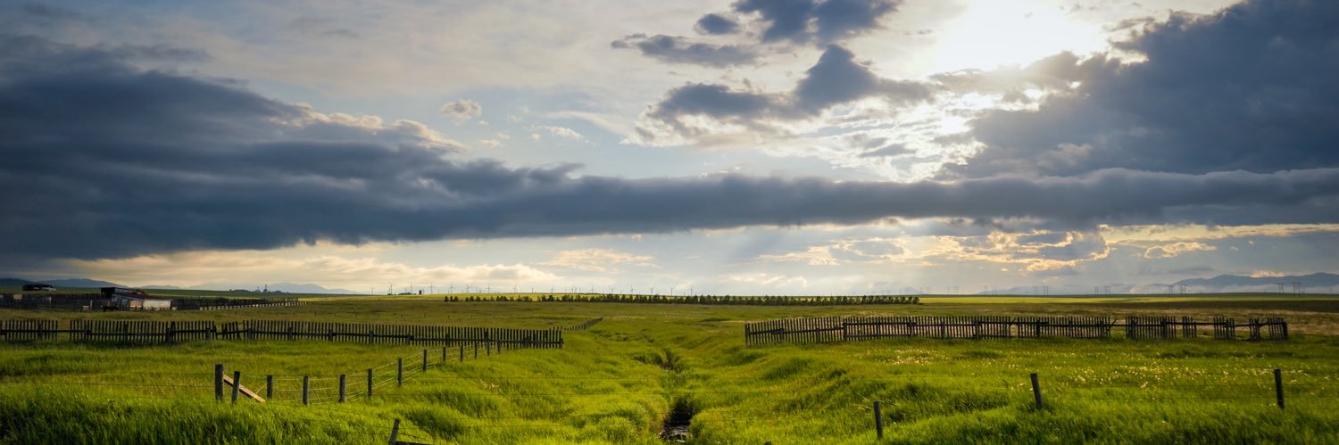 Hannah Gordon PhD, MSCI (she/her) banner