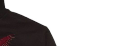Lou banner