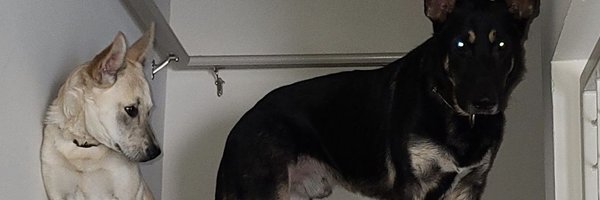 theblackercaleb Profile Banner