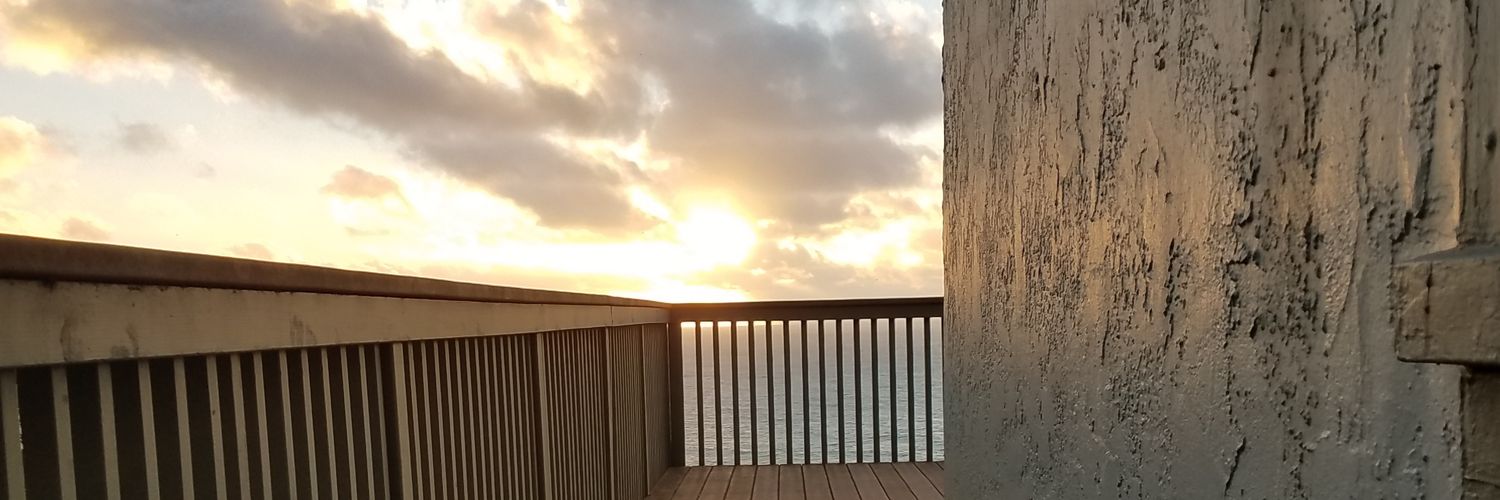cefortes's profile banner image