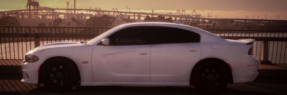 iLexxer's profile banner image