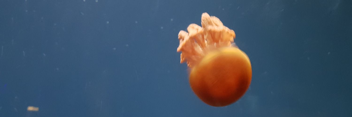 4meepok's profile banner image
