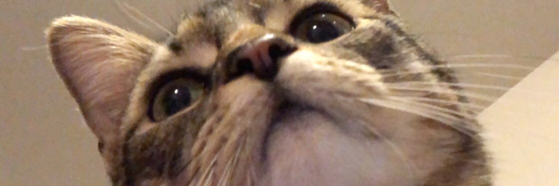 jessat2000's profile banner image
