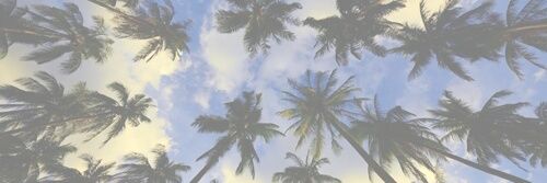 JOSHintheHEART's profile banner image
