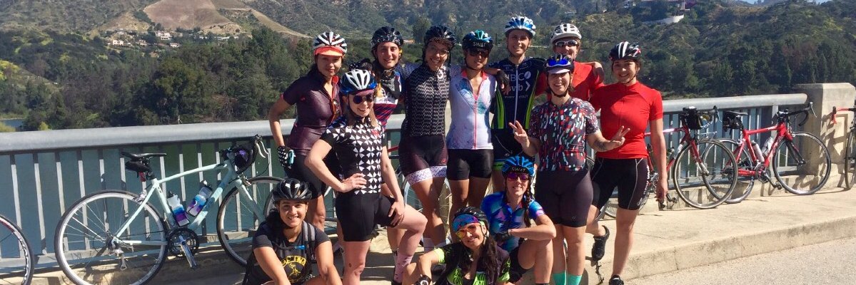 SheWolfATeam's profile banner image