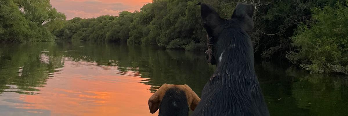 rdamian03's profile banner image