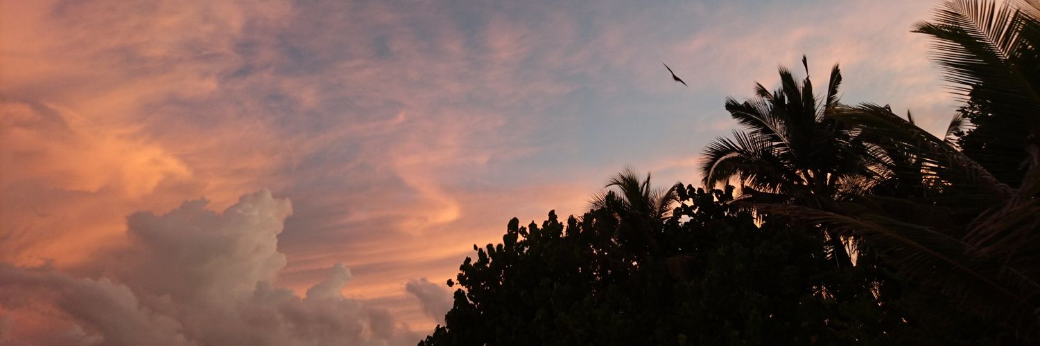 katiercp's profile banner image