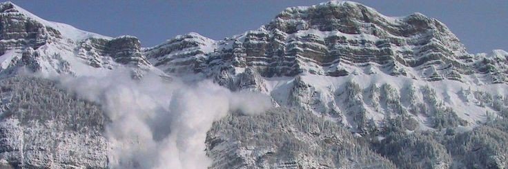 Rico Jiang banner