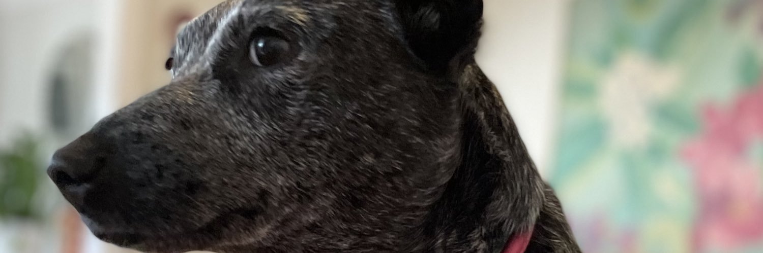 AlexTheConfused's profile banner image