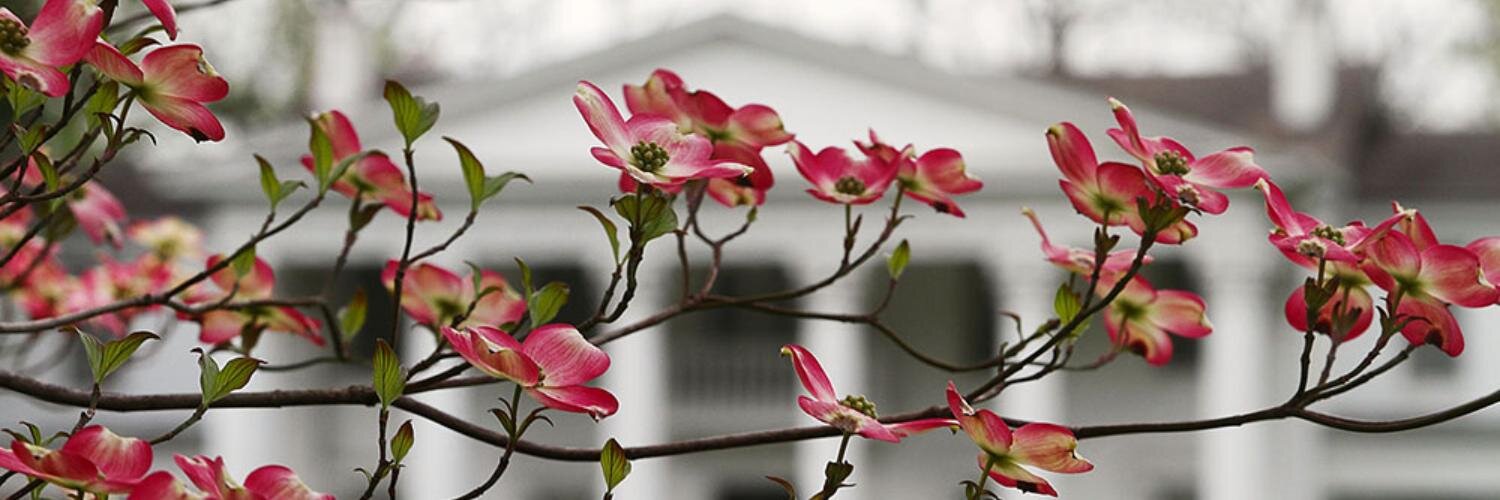 FollowingMyLady's profile banner image