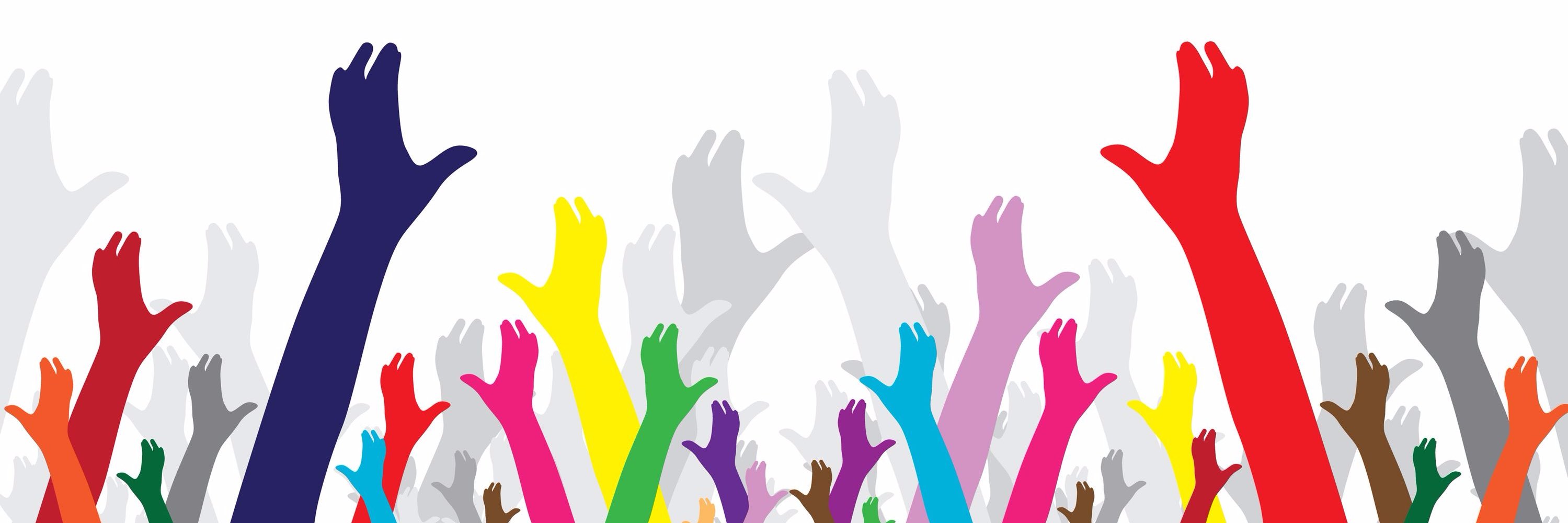 Sarah Polley Schroeder banner