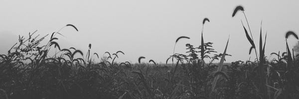 AriDoesGames Profile Banner